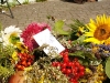 dsc03916_1
