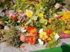 dsc03917_1