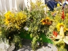 dsc03919_1