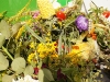 dsc03921_1