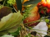 dsc03927_1