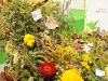 dsc03932_1